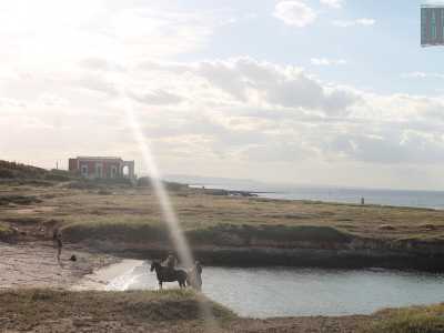 La prima localit� dopo Villanova � Gorgognolo, caratterizzata dalla costa particolarmente scogliosa. Una piccola spiaggia si trova ai piedi di una bellissima villa ottocentesca denominata �la Baronessa�, appartenente in passato alla ricca famiglia ostunese degli Incalzi